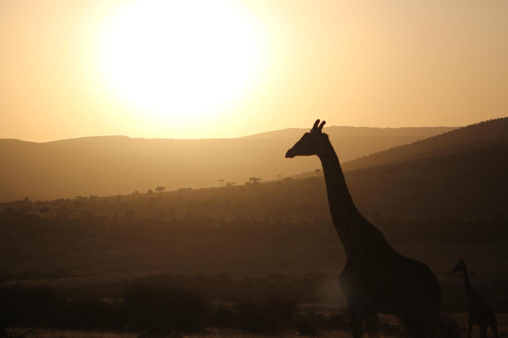 Hotel Samana Mara Maasai Mara Esterno foto