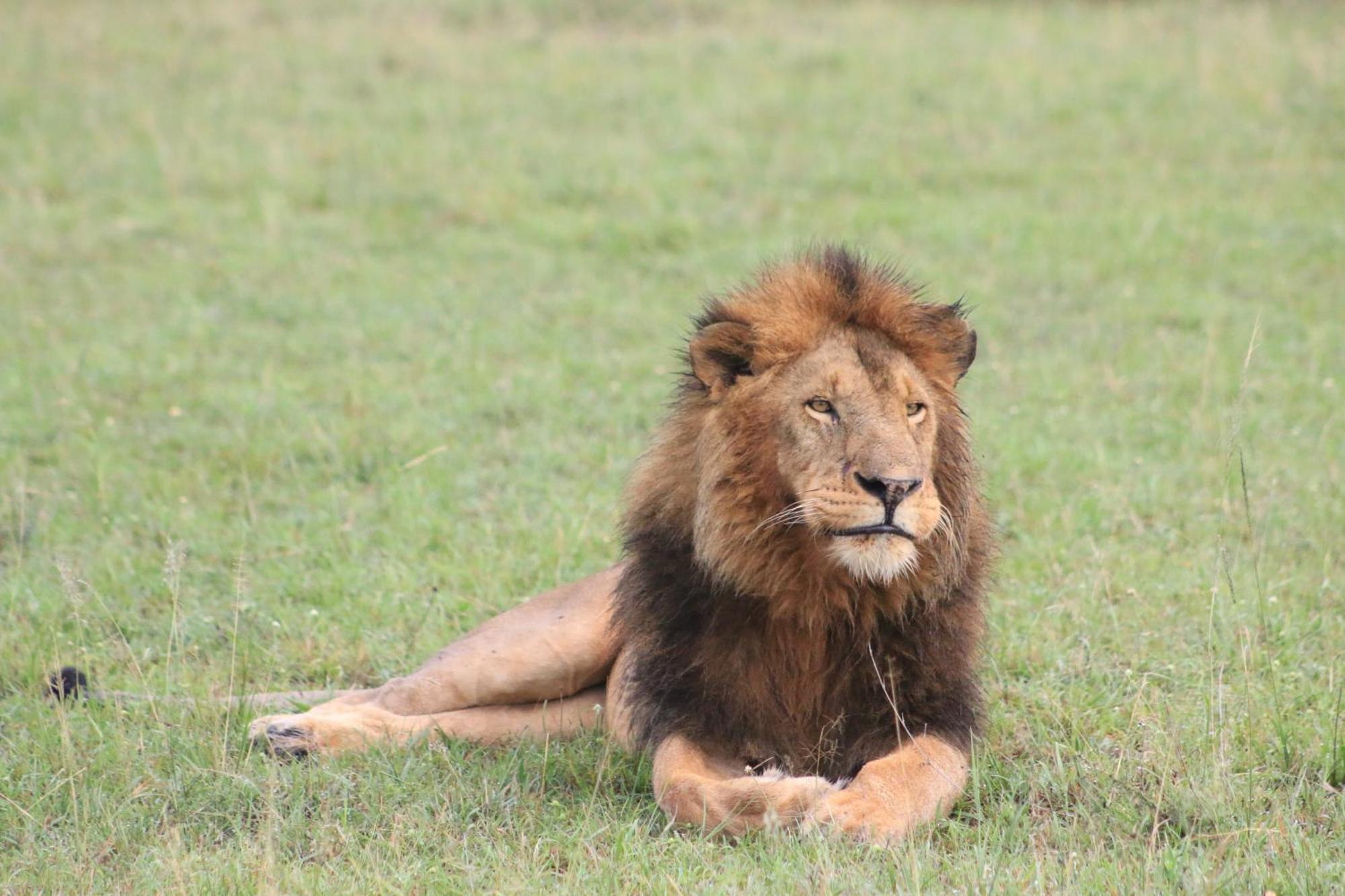 Hotel Samana Mara Maasai Mara Esterno foto